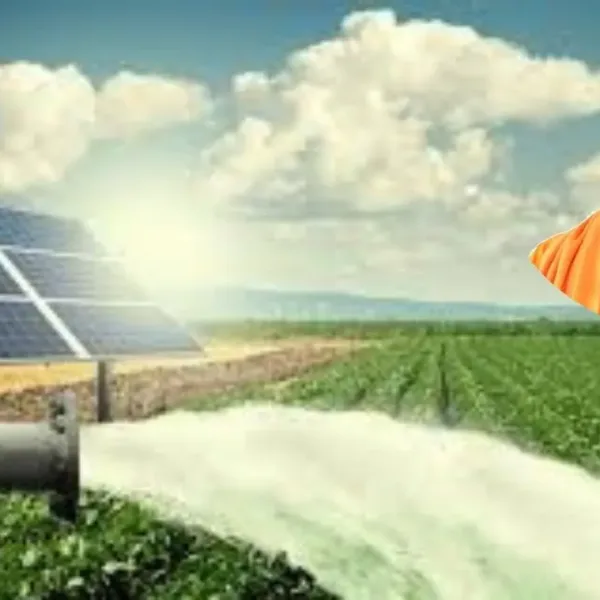 Uttar Pradesh Government Is Giving Up To 60% Subsidy To Farmers For Installing Solar Pumps, Know How To Apply.