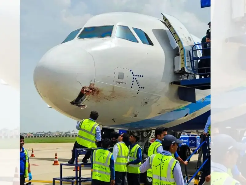 Indigo Landing Emergency Eagle Hits Indigo Flight At 4000 Ft In Air. Pilot Made 7 Rounds And Landed In Emergency With 166 Passengers.